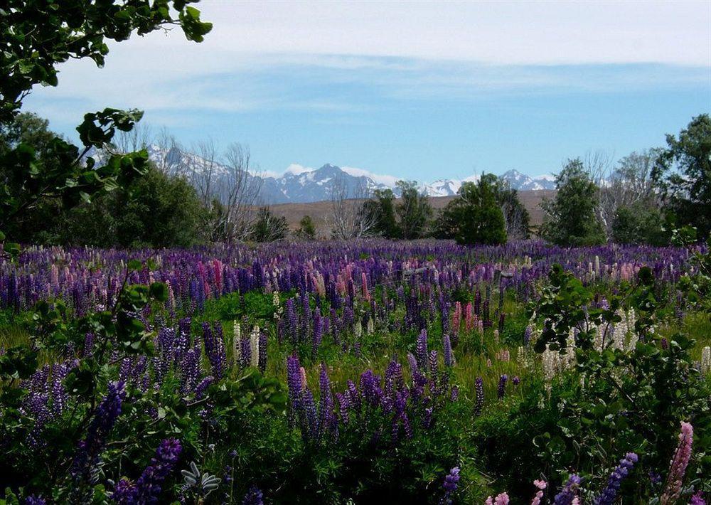 Lakeview Tekapo Lake Tekapo Zewnętrze zdjęcie